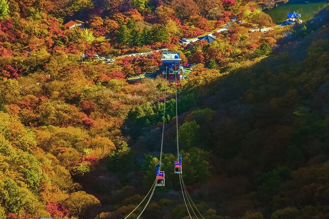 Mt. Naejang Sightseeing Trip From Seoul - Tips for a Memorable Trip