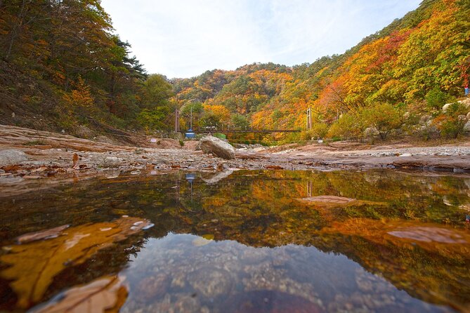 Mt. Seorak & The Tallest Ginko Tree at Yongmunsa - Weather and Cancellation Policies