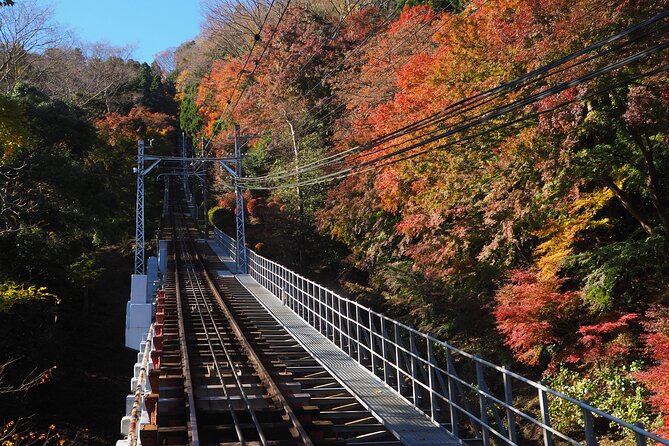 Mt.TAKAO Trekking 1 Day Tour - Trekking Difficulty Level