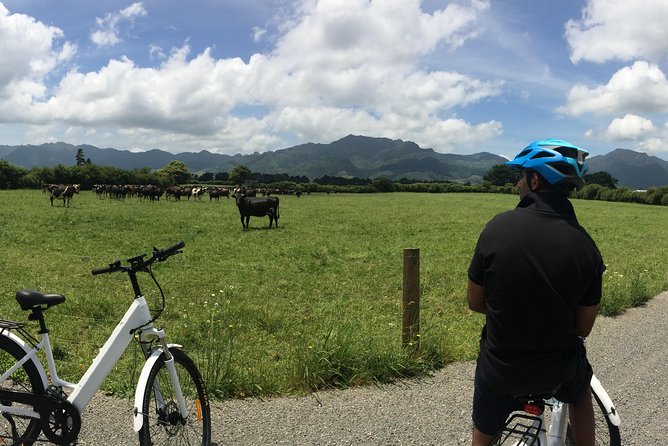 Mt. Te Aroha Bike Hire & Tours - Scenic E-Bike Journey Details