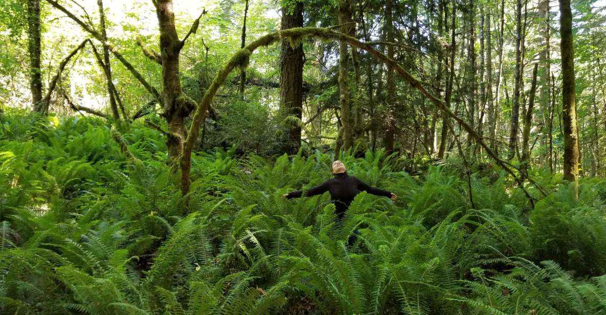 Mystical Rainforest Tour - Forest Magick - Holistic Wellness Tips