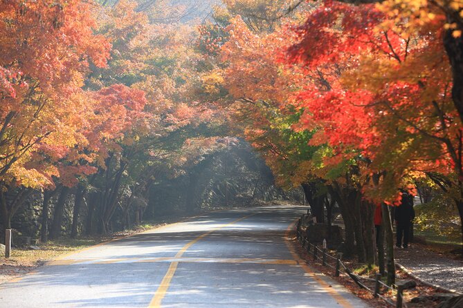 Naejangsan National Park Autumn Foliage Tour From Busan - Booking Information