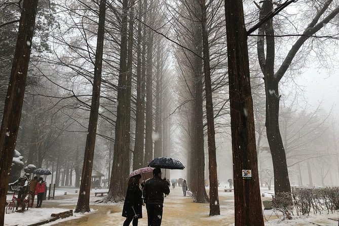 Nami Island and Petite France With the Garden of Morning Calm One Day Tour - Cultural Village Exploration