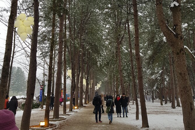 Nami Island Ski Tour - Common questions