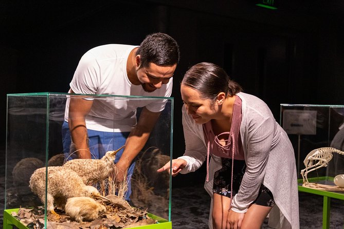 National Kiwi Hatchery - Kiwi Encounter Tour - Traveler Experience