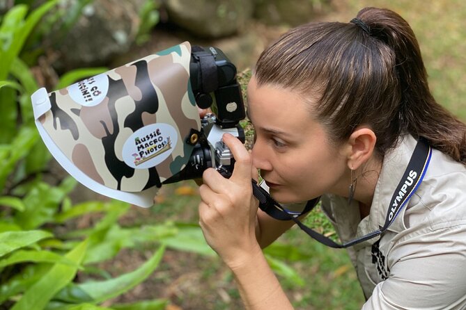 Nature Photography Guided Walks: Cairns  - Cairns & the Tropical North - Directions