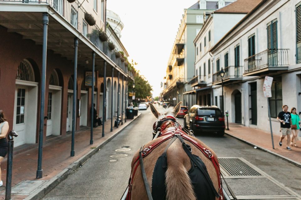 New Orleans: French Quarter Sightseeing Carriage Ride - Customer Reviews Summary