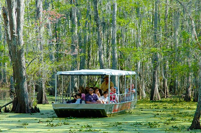 New Orleans Swamp and Bayou Boat Tour With Transportation - Sum Up
