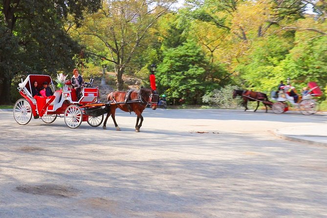 New York City: Central Park Private Horse-and-Carriage Tour - Cancellation Policy