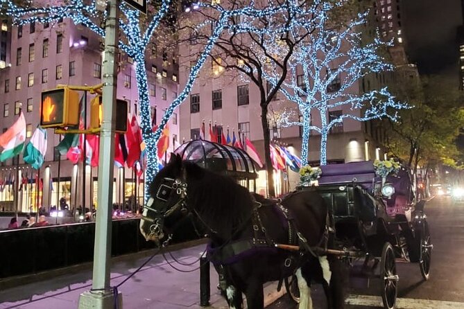 New York City Christmas Lights Private Horse Carriage Ride - Overview and Booking Process