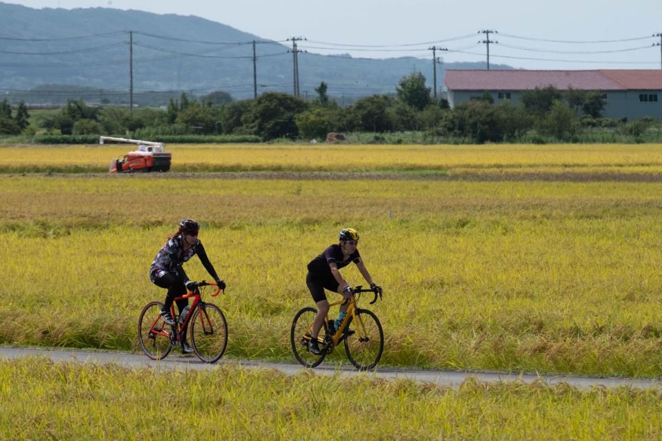Niigata: Sado Island E-Bike or Crossbike Rental - Sum Up