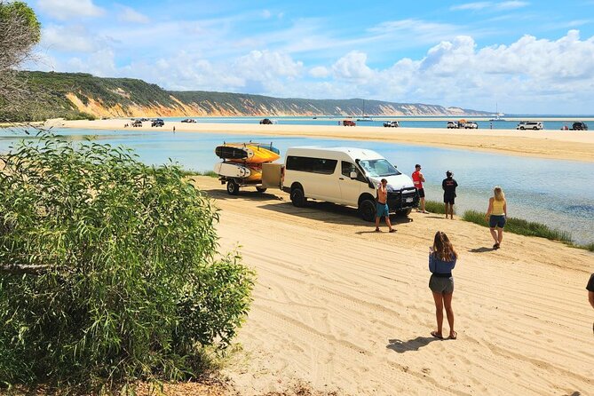 Noosa to Double Island Point Kayaking With Dolphins Day Trip  - Noosa & Sunshine Coast - Customer Feedback and Wildlife Encounters