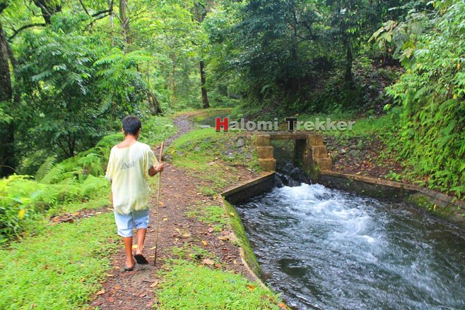 North Lombok Waterfall Hike: Sendang Gila and Tiu Kelep - Sum Up