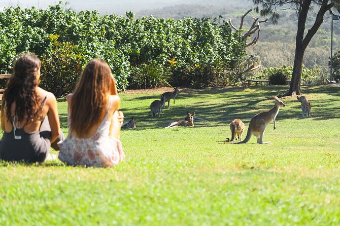 North Stradbroke Island (Minjerribah) Day Trip From Brisbane - Additional Tour Information