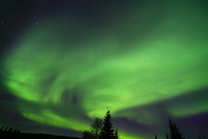 Northern Lights and Arctic Circle Trip From Fairbanks - Logistics and Cancellation Policy