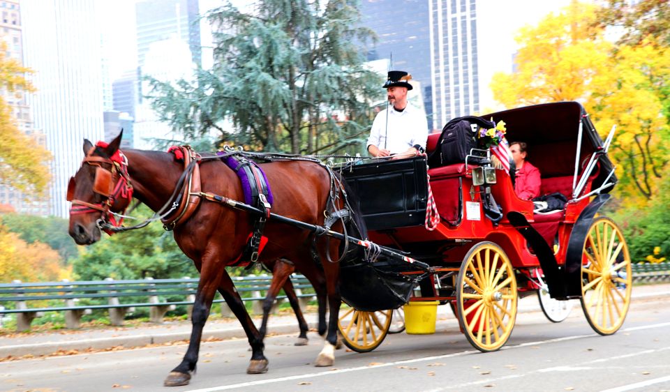 NYC: Central Park Horse-Drawn Carriage Ride (up to 4 Adults) - Directions