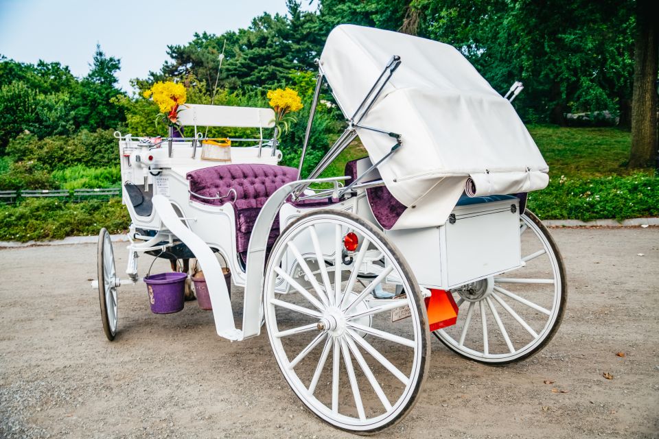 NYC: Guided Central Park Horse Carriage Ride - Tips for a Memorable Experience