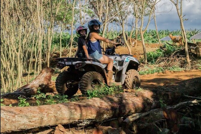 Oahu Beachfront ATV Adventure and Farm Tour - Safety Measures