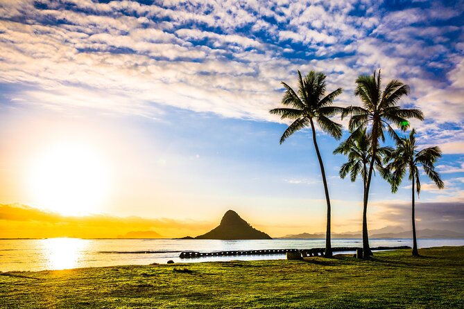 Oahu Full-Day Sightseeing Tour Plus Snorkeling  - Honolulu - Reviews and Testimonials Summary