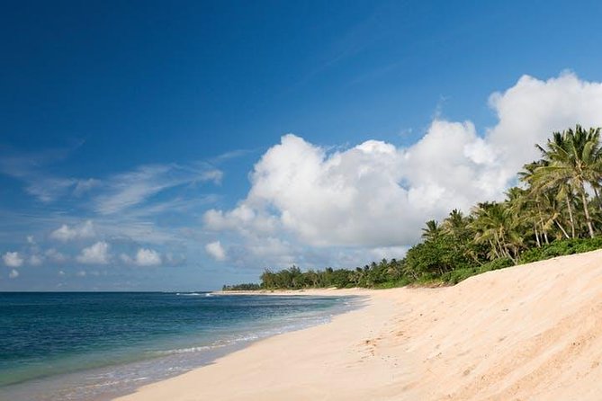 Oahu Grand Circle Island Tour - Logistics and Operations