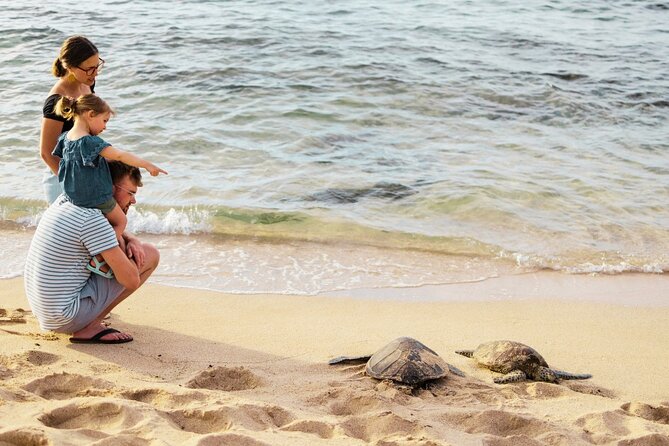 Oahu Premium Quality Tour: Island Highlights in Small Group - Insider Insights and Local Attractions
