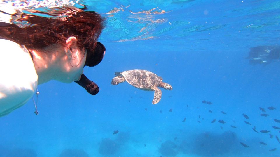 Oahu: Waikiki Private Snorkeling and Wildlife Boat Tour - Booking and Location Information