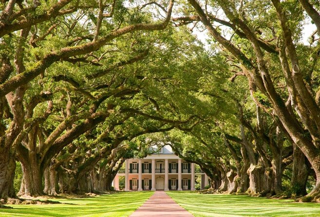Oak Alley Plantation and Large Airboat Swamp Tour From New Orleans - Key Points