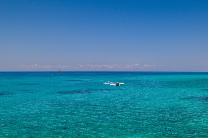 Ocean Free Green Island and Great Barrier Reef Snorkel Cruise - Crew Experience