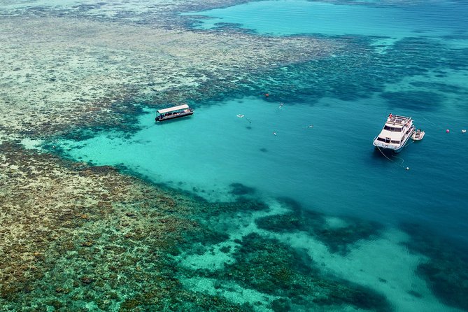 Ocean Freedom Great Barrier Reef Luxury Snorkel and Dive Cruise - Crew Feedback