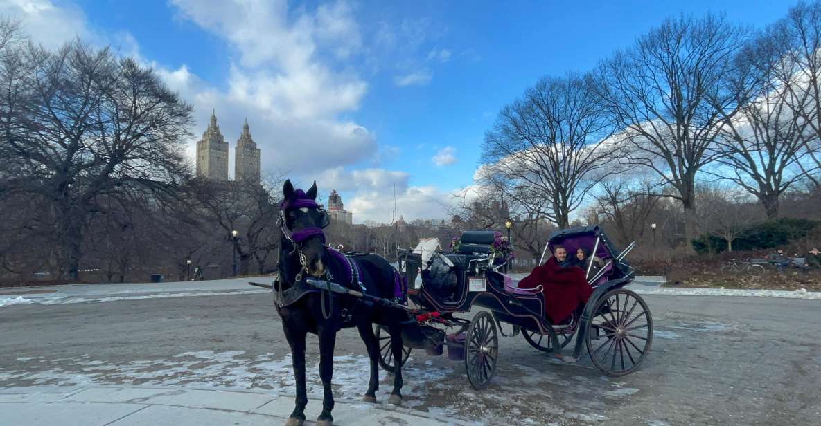 Official VIP Whole Central Park Horse Carriage Tour - Additional Information