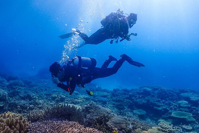 Okinawa Scuba Diving for Certified Divers (3 Boat Dives Lunch) - Group Size and Guide Ratio