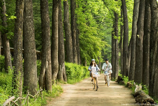 One Day Private Tour-Nami Island, Petite and Garden of Morning Calm(Incl. Lunch) - Booking Information
