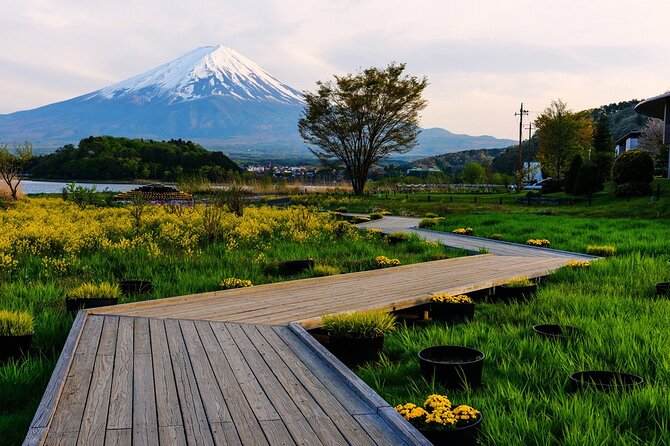 One Day Private Tour of Mt Fuji With English Speaking Driver - Visual Highlights