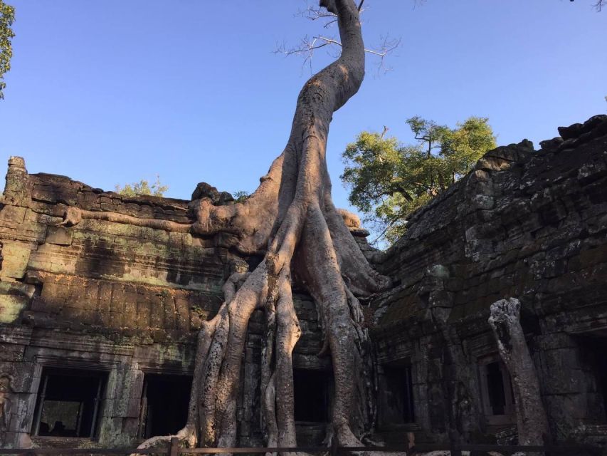 One-Day Small Circuit Tour: Angkor Wat, Bayon, Ta Prohm - Pickup Service and Guides
