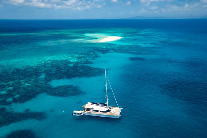 Outer Reef Mackay Cay Sail & Snorkel Adventure From Port Douglas - Customer Reviews