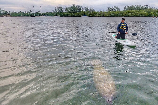Paddle Boarding Eco Adventure Tour Jupiter Florida - Singer Island - Additional Resources and Assistance