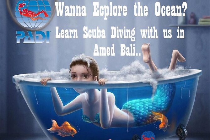 Padi Discover Scuba Diving In Amed Bali - Reviews and Ratings