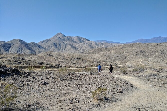 Palm Springs Hike to an Oasis and Amazing Desert Views - Trail Highlights and Scenic Vistas