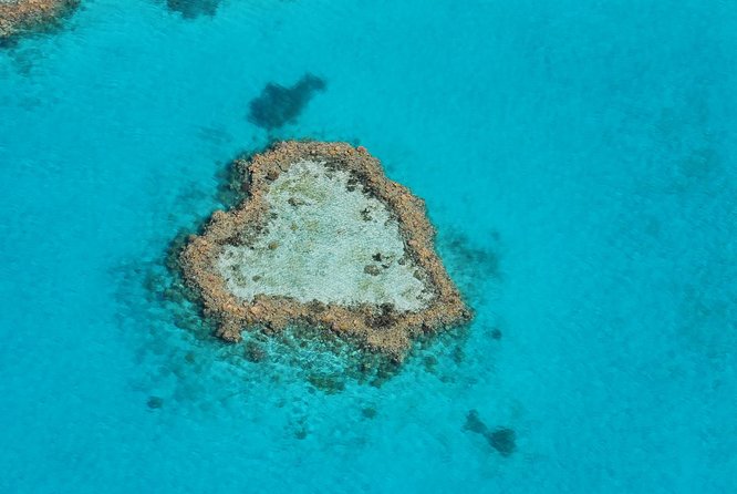 Panorama: the Ultimate Seaplane Tour - Great Barrier Reef & Whitehaven Beach - Helpful Directions