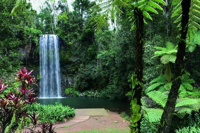 Paronella Park and Millaa Millaa Falls Full-Day Tour From Cairns - Common questions