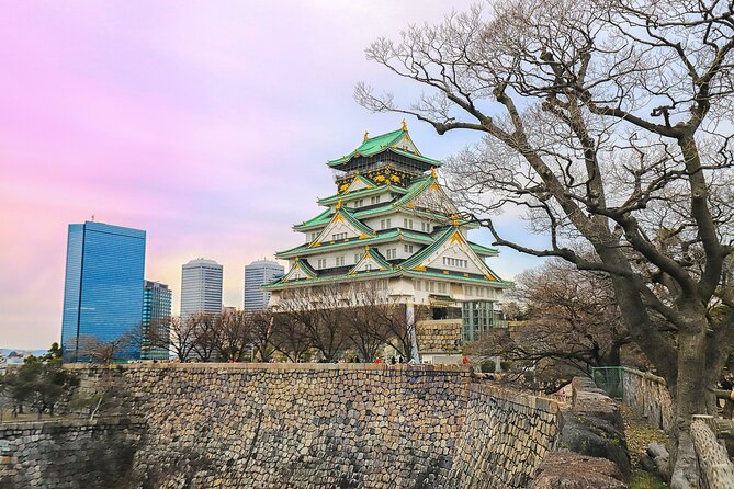 Perfect 4 Day Sightseeing in Japan - English Speaking Chauffeur - Transportation and Accommodation
