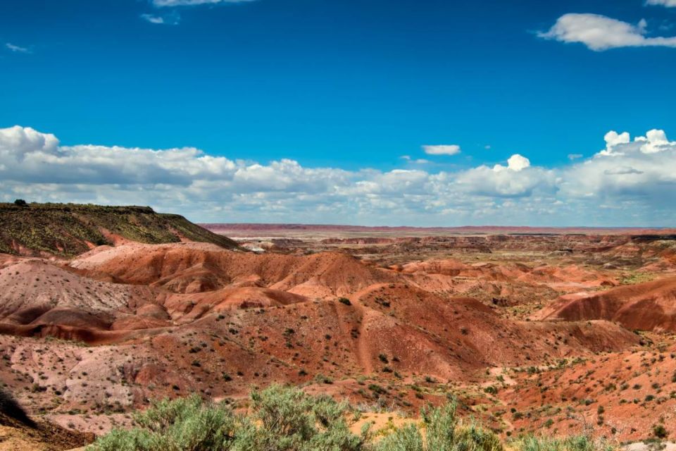 Petrified Forest National Park Self-Guided Audio Tour - Practical Information