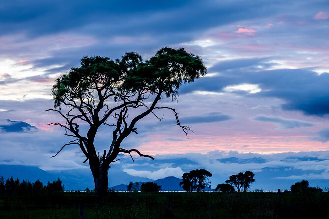 Photography Tour From Queenstown to Glenorchy - 1/2 Day - Confirmation Process