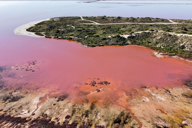 Pink Lake Small-Group Buggy Tour - Accessibility Information