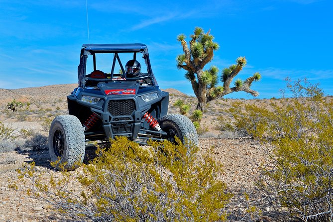 Pioneer Desert Adventure With Lunch at the Historic Pioneer Saloon! - Sum Up