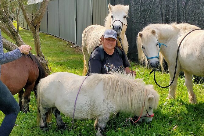 Pony Walking Adventure - Safety Guidelines