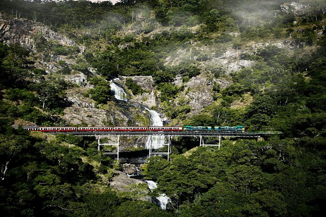 Port Douglas Day Tour Including Kuranda, Skyrail and Scenic Train - Recommendations for Travelers