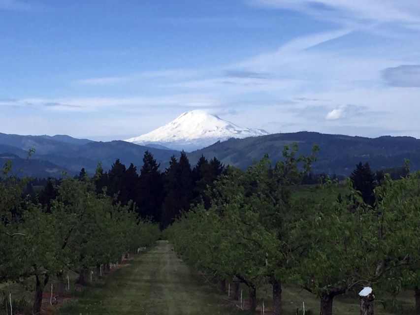 Portland: Mount Hood Wine and Waterfalls Full-Day Tour - Itinerary