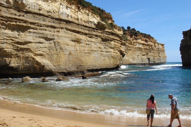 Premium Great Ocean Road Day Tour: Surf Coast Route 12 Apostles, Loch Ard Gorge - Tour Highlights and Customer Reviews