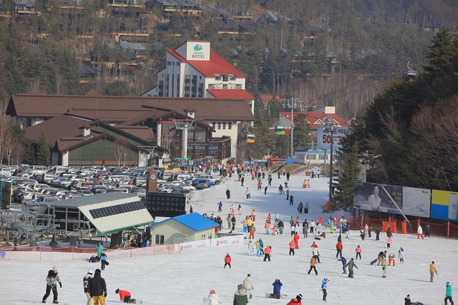 [Premium Private Ski Tour] Pyeongchang Olympic Site (Private Ski Lesson) - Directions for Ski Tour
